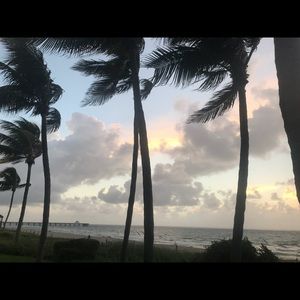 Meet your Posher, Nicky